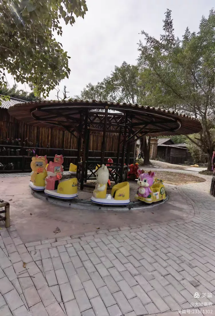 沙溪黄河宝树园203.12.10